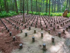 -洛阳白云山景区