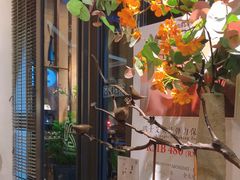 -Dragonfly悠庭·按摩Spa(新乐路店)