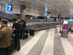 -米兰马尔彭萨国际机场