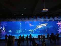 -烟台海昌鲸鲨海洋公园