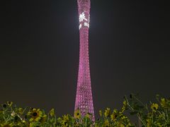 -广州塔