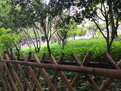 -小洲村