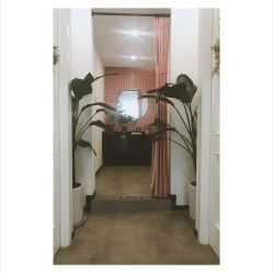-进巍美甲