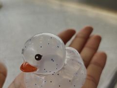 -柠季·手打柠檬茶(岳麓山登高路店)