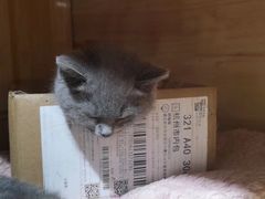 -品凯口腔(丰潭门诊)