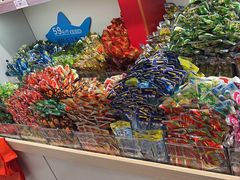 -舜华临武鸭(岳阳东站)