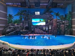 -珠海长隆海洋王国