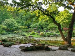 -杭州植物园