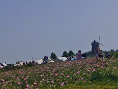 -君乐宝优致牧场