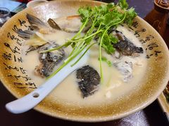 砂锅鱼头-75幢私房菜馆