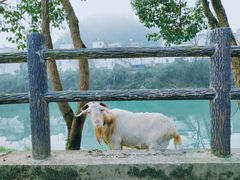 -新安江山水画廊风景区
