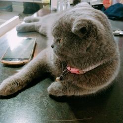 -蚂蚁造型沙龙