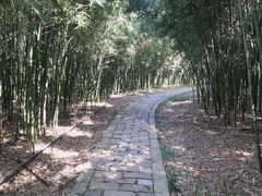 -同里国家湿地公园