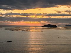 -北岐滩涂