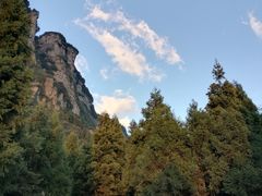 -重庆睡佛山森林公园