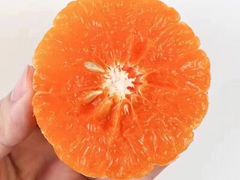 -GANSO元祖食品(白下店)