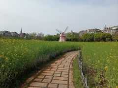 -九龙湖公园