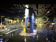 -晋爵会游泳馆(海湾公园店)
