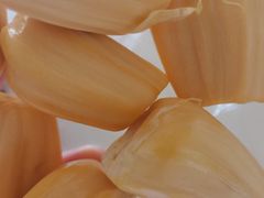 -叶氏兄弟果业(大连鲁迅店)