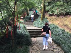 -梦姑塘文化公园
