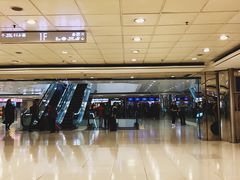 -尖沙咀中国客运码头