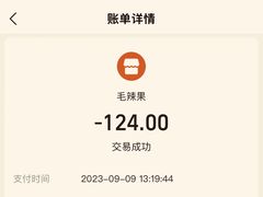 账单-毛辣果·酸