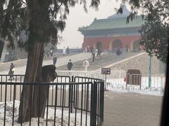 -天坛文创店