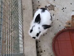 -万源龙顺度假庄园生态观光园