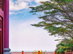 -海口万豪·大堂吧·望海吧.日落海景·下午茶·奶茶·咖啡·轻食·蛋糕·鸡尾酒·清吧