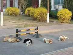 -太原动物园