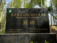-缙云山景区