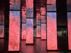 -中国湿地博物馆