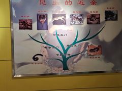 -上海昆虫博物馆