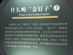 -金钉子远古世界景区