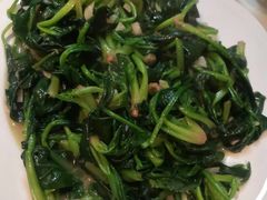 -大班家政月嫂育儿嫂(深圳NO.1店)