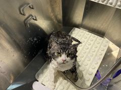 -PETKIT小佩宠物(古北店)