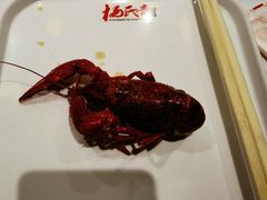 -杨氏青龙虾·羊蝎子(金盛路总店)