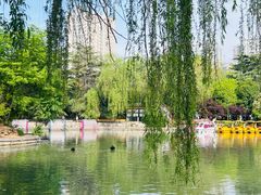 -西苑公园