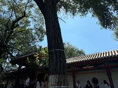 -内蒙古将军衙署博物院