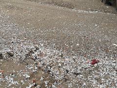 -路环码头面馆