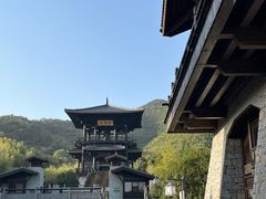 -大唐贡茶院