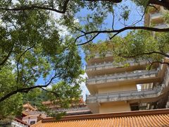 -深圳仙湖植物园