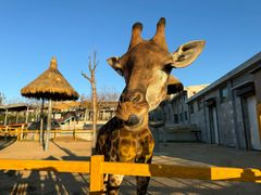 -西霞口神雕山野生动物世界