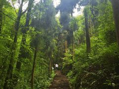 -峨眉山风景名胜区