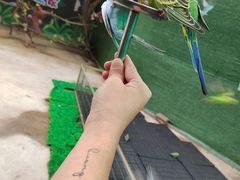 -史努比缤纷世界