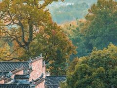 -塔川景区