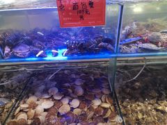 -四海蒸鲜蒸汽海鲜自助(北戴河店)