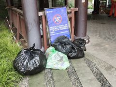 -重庆彩云湖湿地公园