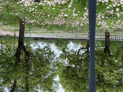 -上方山森林动物世界