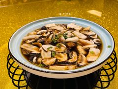 -乐和餐饮(活力源店)